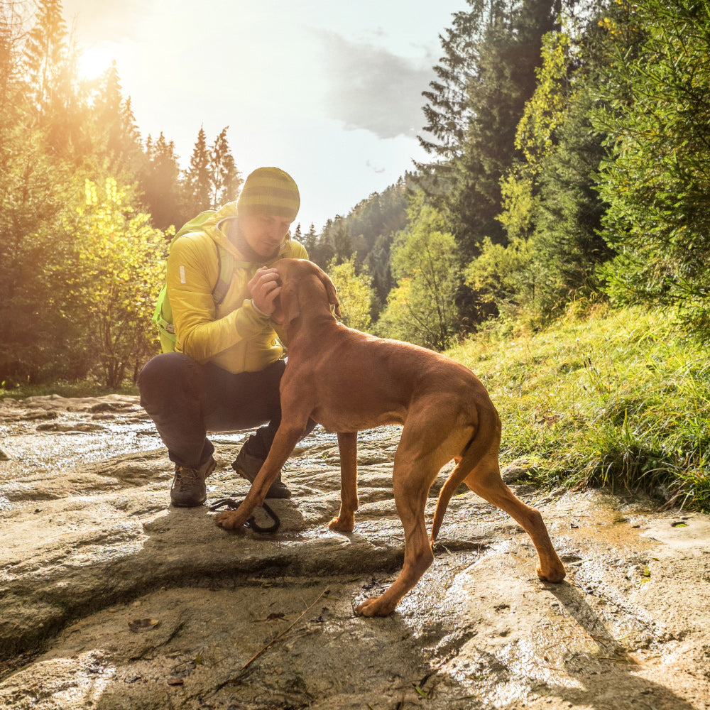 Man hiking with dog along a rocky river basin